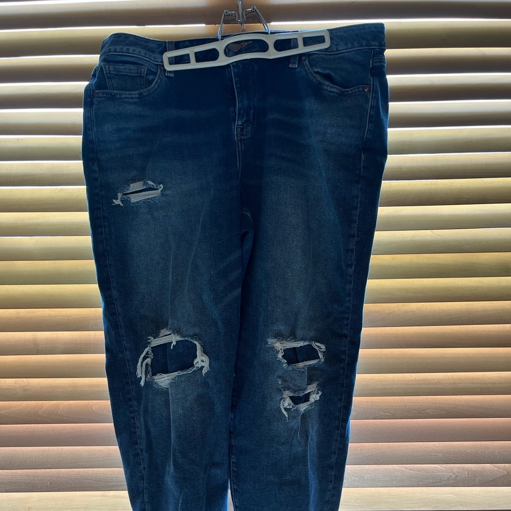 Lane Bryant Jeans